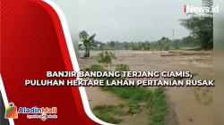 Banjir Bandang Terjang Ciamis Rusak Puluhan Hektare Lahan Pertanian