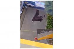 Polisi Pastikan Mahasiswa UGM yang Terjun dari Lantai 11, Murni Bunuh Diri