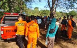 Pria 50 Tahun Hilang di Hutan Saat Cari Madu