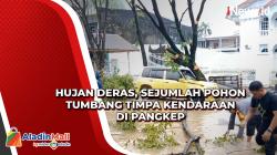 Hujan Deras, Sejumlah Pohon Tumbang Timpa Kendaraan di Pangkep