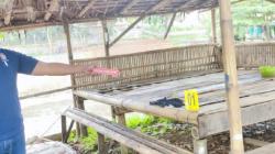 Saung Kebun Sawait Ini Saksi Bisu Pemerkosaan Anak di Bawah Umur di Cigudeg Bogor<