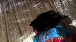 Perempuan Tewas Bersimbah Darah di Lombok Utara Dibunuh Ipar, Diduga Motif Asmara