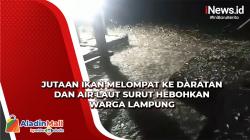Fenomena Jutaan Ikan Melompat dan Air Laut Surut di Lampung Bukan Pertanda Tsunami