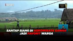 Santap Siang di Agrowisata Sawah Solok jadi Favorit Warga