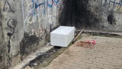 Puluhan Bangkai Ayam Dibuang di Permukiman Warga Bekasi, Awalnya Dikira Mayat