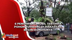 6 Penumpang Mobil Tertimpa Pohon Tumbang di Makassar, Begini Kondisinya