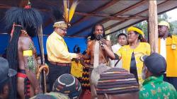 Pesta Bakar Batu Warnai Penobatan John Tabo Jadi Kepala Suku Besar Papua Pegunungan