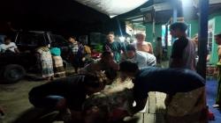 Indramayu Heboh, Sopir Meninggal saat Kemudikan Colt Diesel Bermuatan Beras<