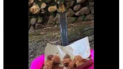 Viral Pria Makan Bakso Ditatap Ular Kobra, Netizen : Masih Santuy Nyawa Terancam