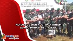 Begini Suasana saat Kopassus dan Kostrad Tanam 50.000 Pohon di Ciwidey<