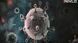 Kasus Covid-19 Bertambah 3.008 Orang Selasa 25 Oktober 2022