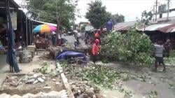 Terempas Angin, Pohon Besar Timpa Lapak Pedagang di Ponorogo