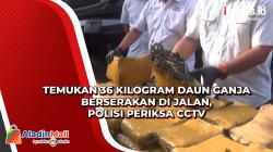 Temukan 36 Kilogram Daun Ganja Berserakan di Jalan, Polisi Periksa CCTV