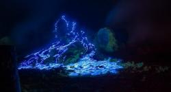 Status Gunung Ijen Turun ke Level I, Wisatawan Masih Dilarang Nikmati Blue Fire