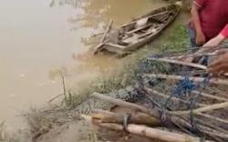 Diyakini Keramat, Buaya Terjebak Perangkap Ikan Warga Way Kanan Dilepas ke Sungai