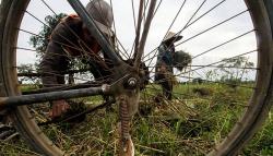 Saluran Irigasi Papah Rusak, 71 Hektare Tanaman Padi di Kulonprogo Terancam Puso
