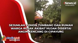 Sejumlah Pohon Tumbang dan Rumah Warga Rusak akibat Hujan Disertai Angin Kencang di Cipayung
