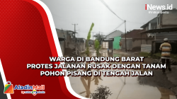 Warga di Bandung Barat Protes Jalanan Rusak dengan Tanam Pohon Pisang di Tengah Jalan<