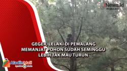 Geger, Lelaki di Pemalang Memanjat Pohon sudah Seminggu Lebih Tak Mau Turun