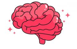 Zat Kimia yang Berfungsi untuk Menghantarkan Rangsang Listrik adalah Neurotransmitter, Ini Penjelasan dan Contohnya