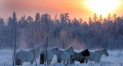 Kota Terdingin di Dunia dengan Pemandangan Paling Indah, Harus Dikunjungi Sekali Seumur Hidup!
