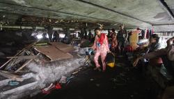 Bangunan Liar di Kolong Jalan Tol Surabaya-Gempol Dibongkar
