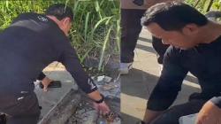 Bima Arya Kesal saat Cek Trotoar: Jelek Banget Ini, Saya Blacklist Kontraktornya<