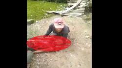 Ngeri, Buruh di  Labuhanbatu Dianiaya 6 Orang Pakai Kayu dan Martil, Korban Tewas Bersimbah Darah <