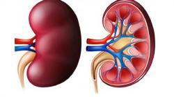 RSUD Ir Soekarno Sukoharjo Lacak Kasus Penyakit Gangguan Ginjal Akut, Ini Hasilnya 
