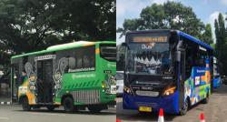 Teman Bus Berbayar Mulai Akhir Oktober, Tarif Berbeda Tiap Daerah, Cek Yuk Detailnya!