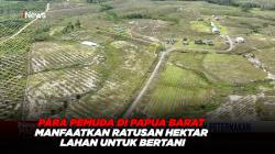 Para Pemuda di Papua Barat Manfaatkan Ratusan Hektar Lahan untuk Bertani