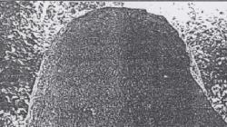 5 Prasasti Kutukan dari Sriwijaya, Hukuman Bagi Para Pembelot Kerajaan