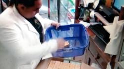 Tarik Ratusan Botol Obat Sirop, Apotek di Purwokerto Ini Rugi Belasan Juta Rupiah <