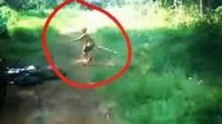 Misteri Suku Mante di Aceh, Suku Manusia Kerdil dan Asal Usulnya