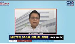 Gangguan Ginjal Akut Serang Anak-Anak di Indonesia, Kemenkes: Angka Kematiannya Tinggi