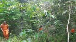 Sepekan Tanpa Hasil, Pencarian Kakek Hilang dalam Kebun di Tomohon Dihentikan