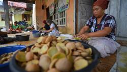 Membuat Kerupuk Jengkol Khas Padangpariaman