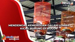 Mendengar Kemerduan dalam Lomba Kicau Burung di Bogor
