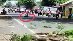  Innalillahi, Pemotor di Majalengka Tewas Terkapar usai Tabrak Pohon Tumbang<