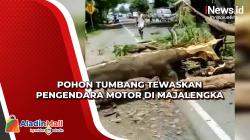 Pohon Tumbang Tewaskan Pengendara Motor di Majalengka<