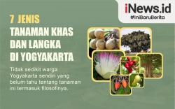 Infografis 7 Jenis Tanaman Khas dan Langka di Yogyakarta