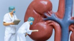 Polri Ambil Sampel Korban Gagal Ginjal Akut di Beberapa Provinsi 