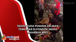  Sedih! Kuda Penarik Delman Terkapar di Pondok Indah Akhirnya Mati