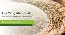 Bunda, Tahu Nggak Apa yang Membuat Nasi Pulen? Ini Jawabannya!