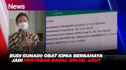Budi Gunadi: Obat Kimia Berbahaya Jadi Penyebab Gagal Ginjal Akut