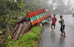 Tak Kuat Menanjak, Truk Bermuatan Kayu Pinus Terperosok di Perbukitan Menoreh