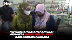 Pemerintah Datangkan Obat Penawar Gagal Ginjal Akut dari Berbagai Negara