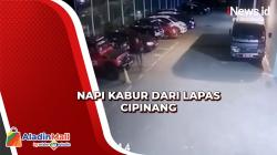 Napi Narkoba Kabur dari Lapas Cipinang Bermodal Sarung Terekam CCTV