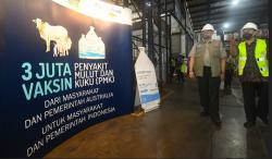 3 Juta Dosis Vaksin PMK Tambahan Bantuan Australia Tiba di Indonesia<