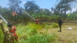 Lahan Kebun di Kuningan Terbakar Hebat dan Nyaris Merembet ke Bangunan Sekolah<